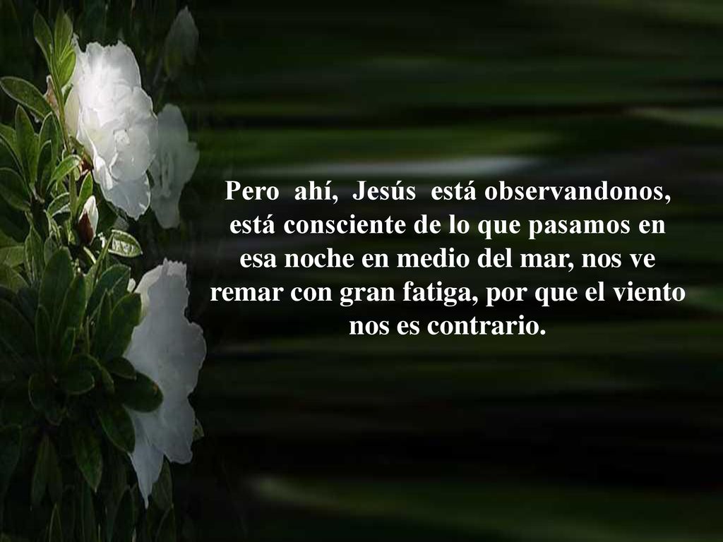 Pero ahí, Jesús está observandonos, está consciente de lo que pasamos en esa noche en medio del mar, nos ve remar con gran fatiga, por que el viento nos es contrario.