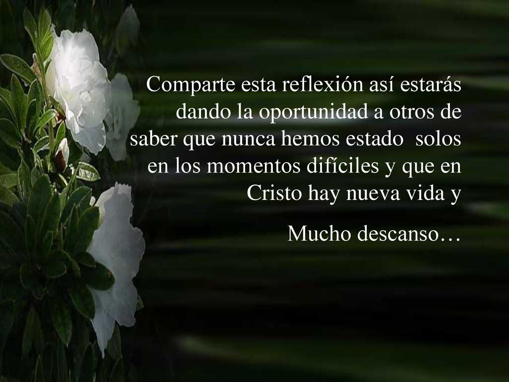 Comparte esta reflexión así estarás dando la oportunidad a otros de saber que nunca hemos estado solos en los momentos difíciles y que en Cristo hay nueva vida y