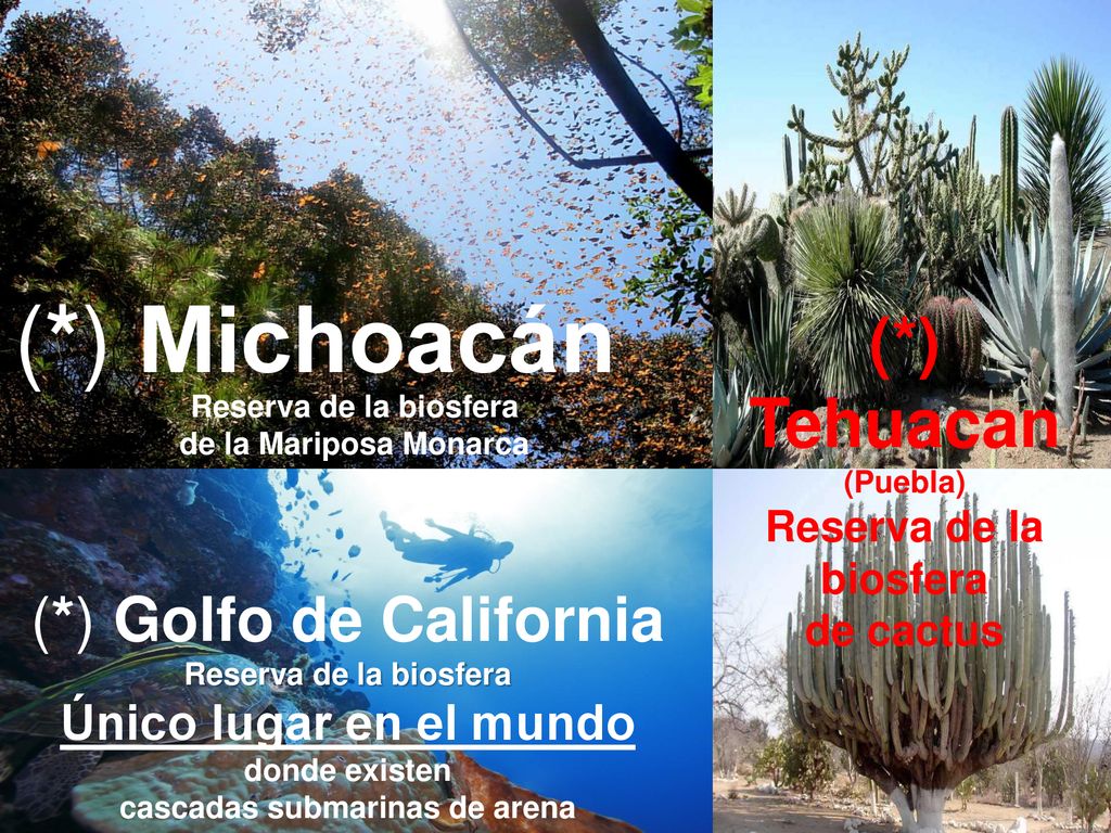 Único lugar en el mundo donde existen cascadas submarinas de arena