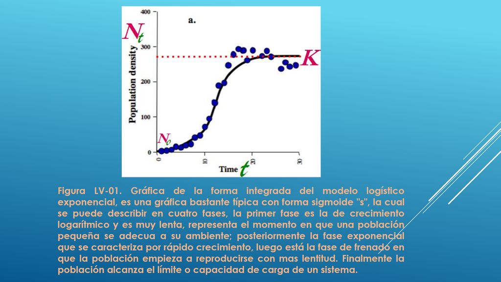 Figura LV-01. Gráfica de la forma integrada del modelo logístico exponencial, es una gráfica bastante típica con forma sigmoide s , la cual se puede describir en cuatro fases, la primer fase es la de crecimiento logarítmico y es muy lenta, representa el momento en que una población pequeña se adecua a su ambiente; posteriormente la fase exponencial que se caracteriza por rápido crecimiento, luego está la fase de frenado en que la población empieza a reproducirse con mas lentitud.