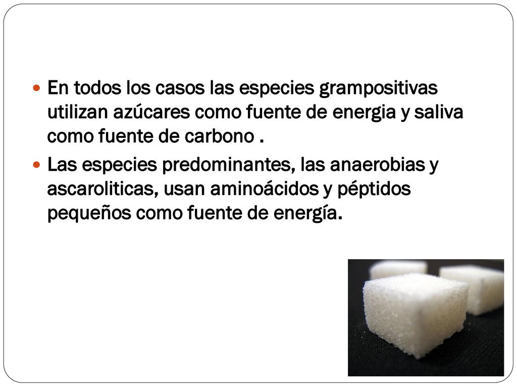 En todos los casos las especies grampositivas utilizan azúcares como fuente de energia y saliva como fuente de carbono .