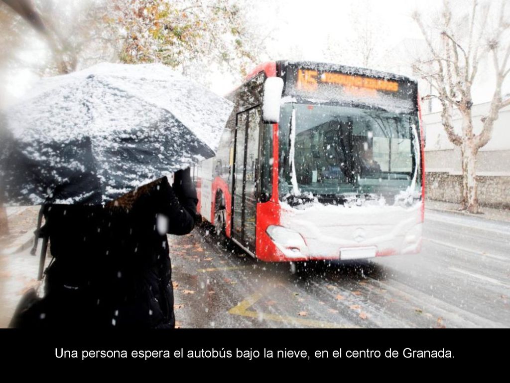 Una persona espera el autobús bajo la nieve, en el centro de Granada.