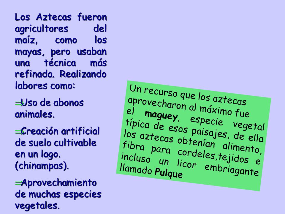 Los Aztecas fueron agricultores del maíz, como los mayas, pero usaban una técnica más refinada. Realizando labores como: