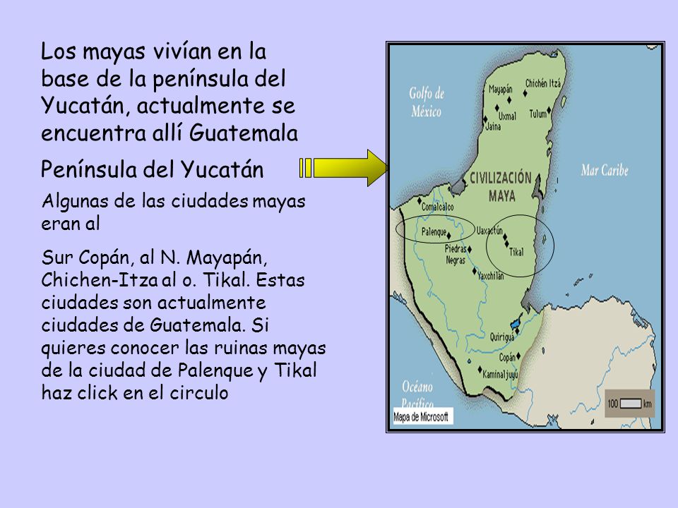 Los mayas vivían en la base de la península del Yucatán, actualmente se encuentra allí Guatemala