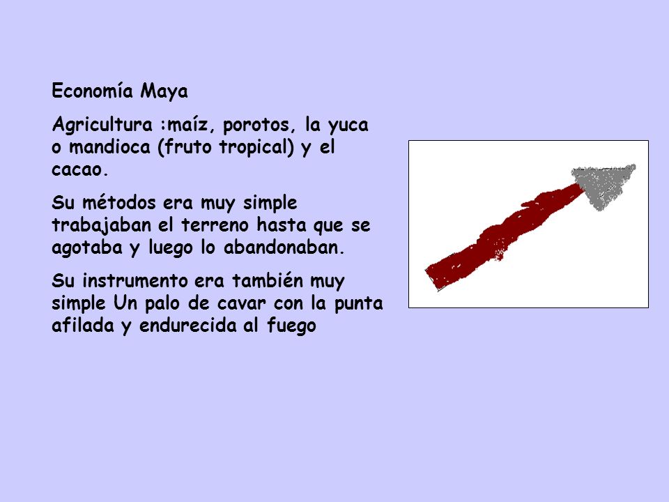 Economía Maya Agricultura :maíz, porotos, la yuca o mandioca (fruto tropical) y el cacao.