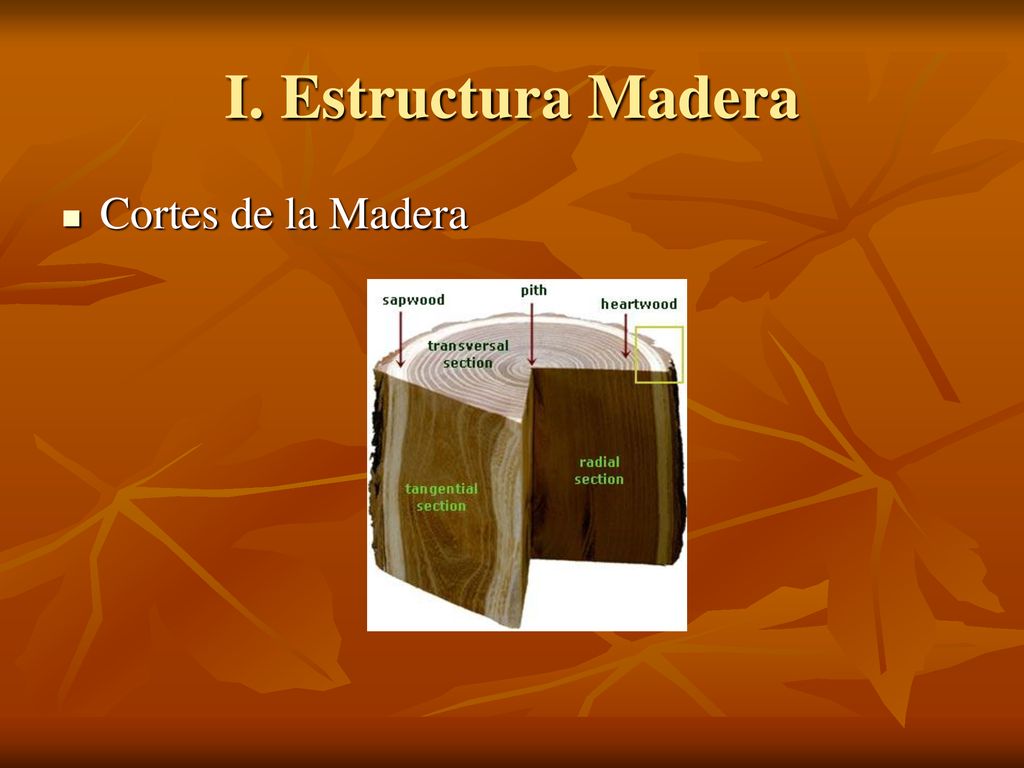 I. Estructura Madera Cortes de la Madera