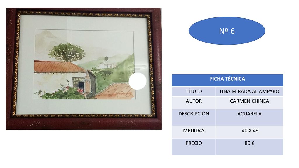 Nº 6 FICHA TÉCNICA TÍTULO UNA MIRADA AL AMPARO AUTOR CARMEN CHINEA
