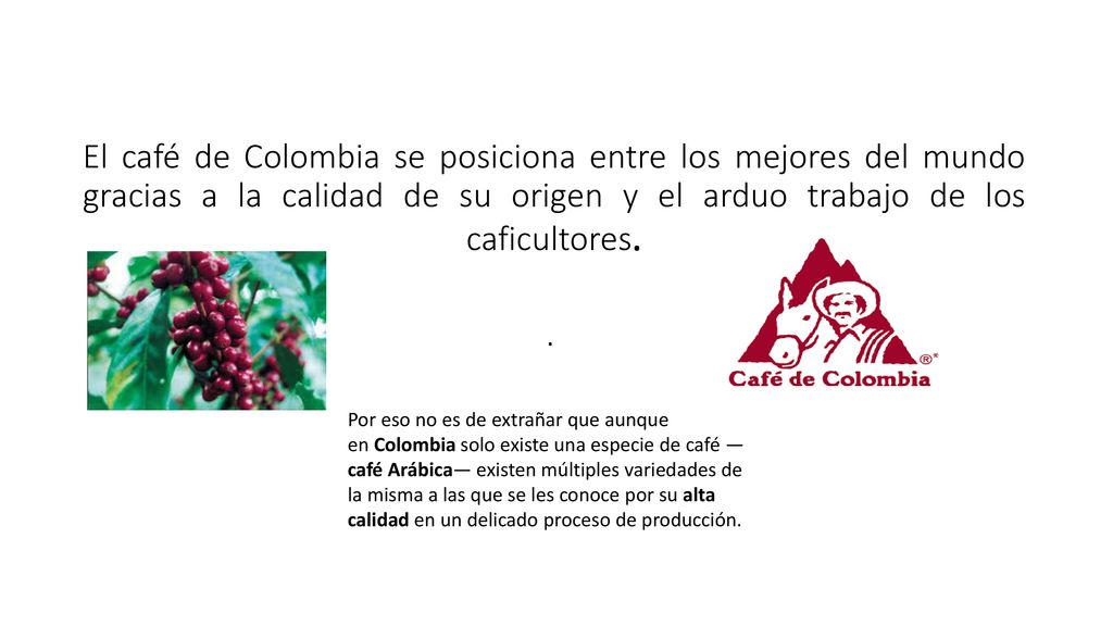 El café de Colombia se posiciona entre los mejores del mundo gracias a la calidad de su origen y el arduo trabajo de los caficultores. .