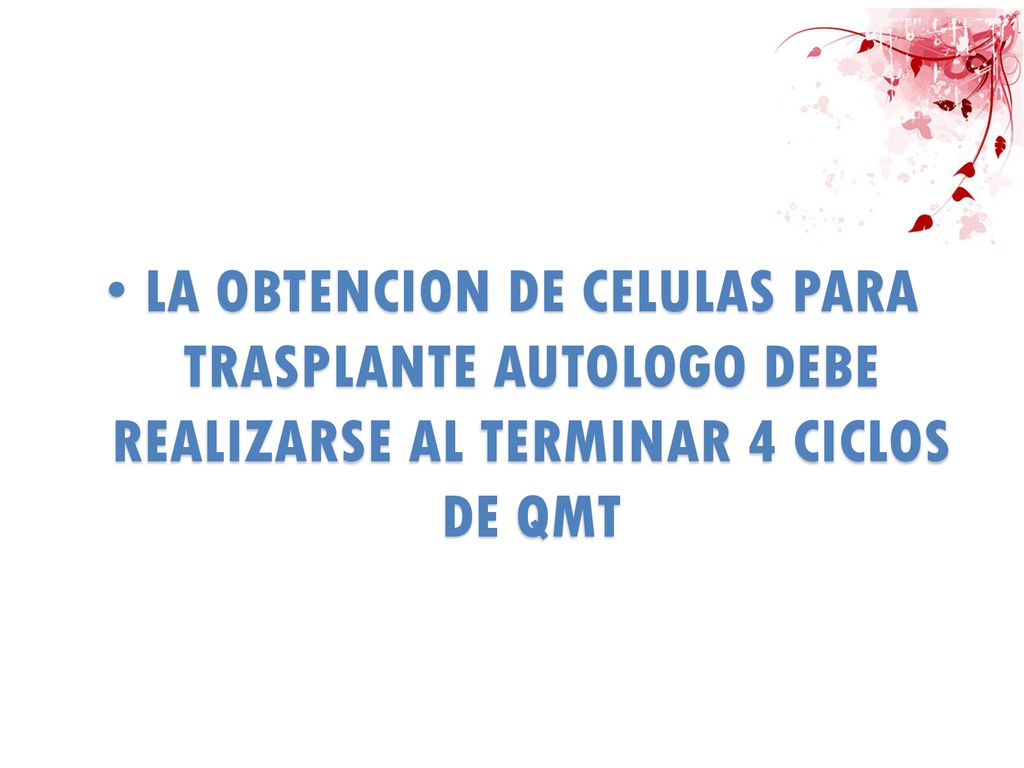 LA OBTENCION DE CELULAS PARA TRASPLANTE AUTOLOGO DEBE REALIZARSE AL TERMINAR 4 CICLOS DE QMT