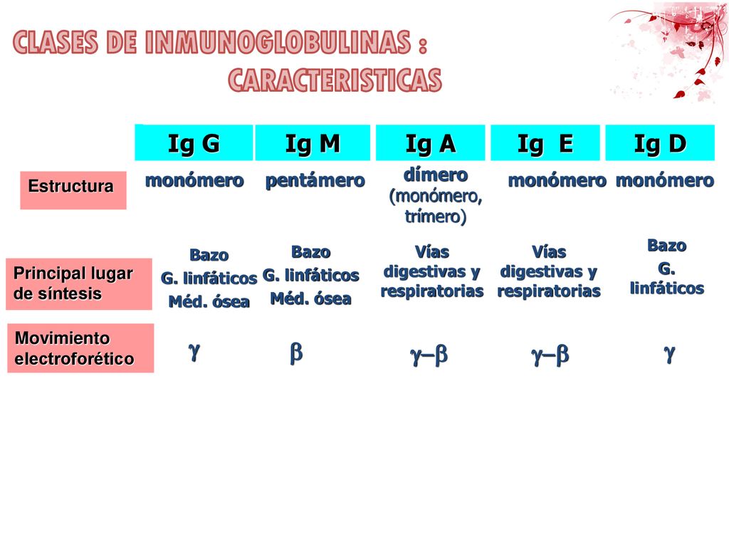 Vías digestivas y respiratorias Vías digestivas y respiratorias