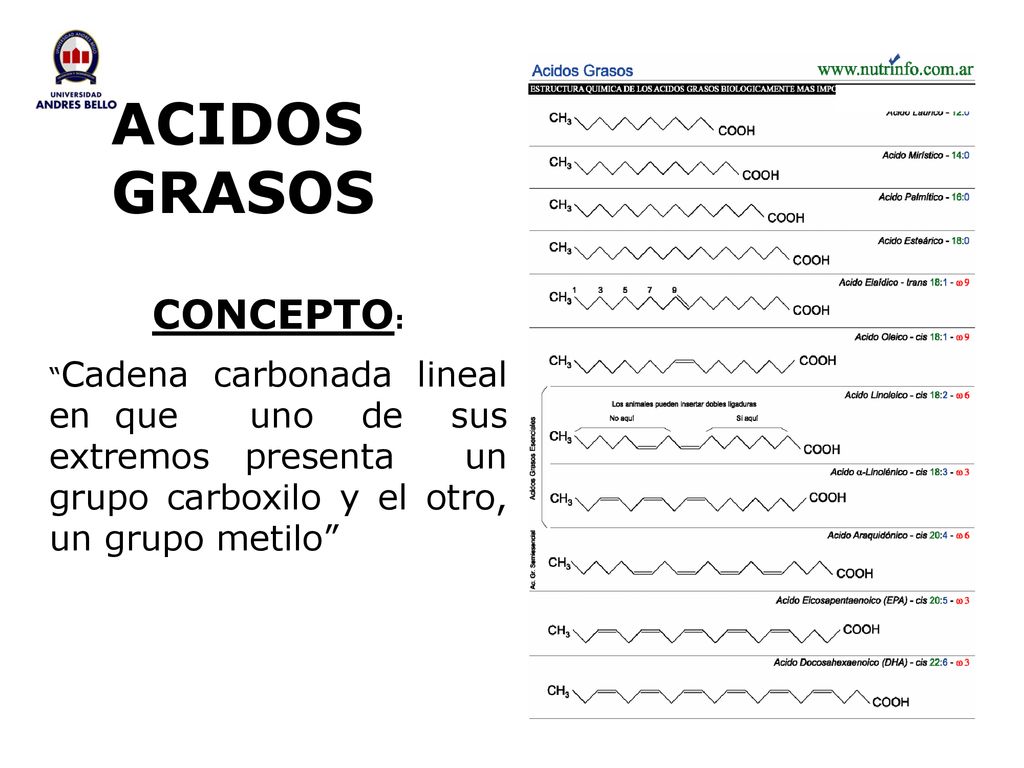 ACIDOS GRASOS CONCEPTO: Cadena carbonada lineal en que uno de sus extremos presenta un grupo carboxilo y el otro, un grupo metilo