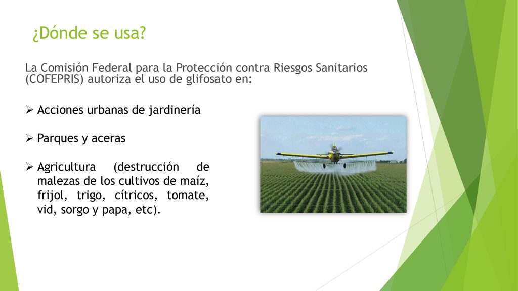 ¿Dónde se usa La Comisión Federal para la Protección contra Riesgos Sanitarios (COFEPRIS) autoriza el uso de glifosato en: