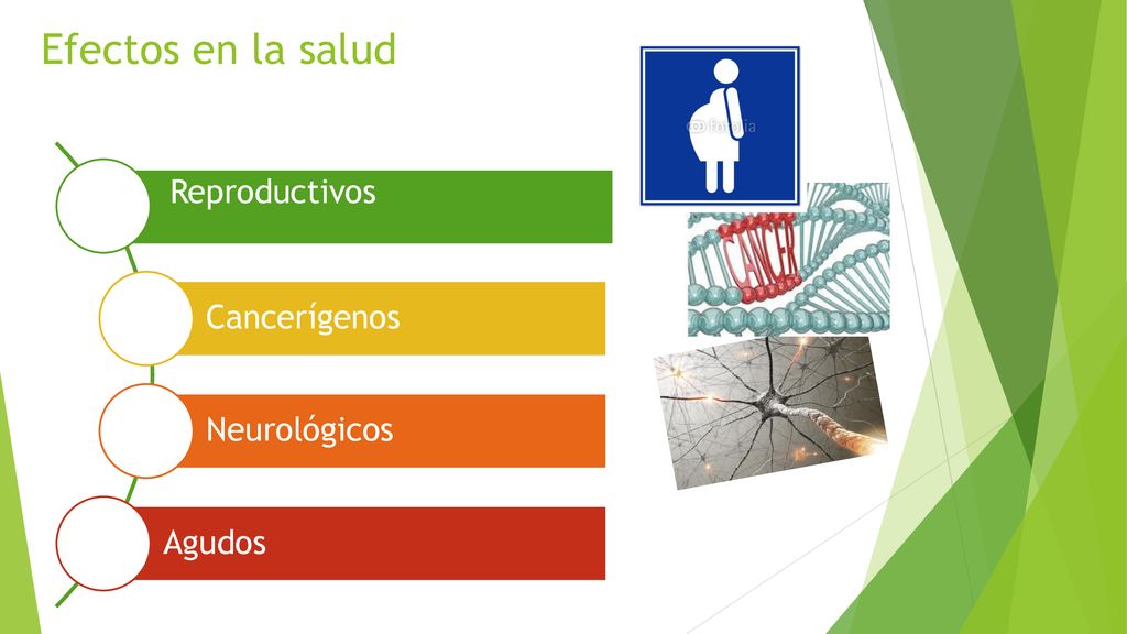 Efectos en la salud Reproductivos Cancerígenos Neurológicos Agudos