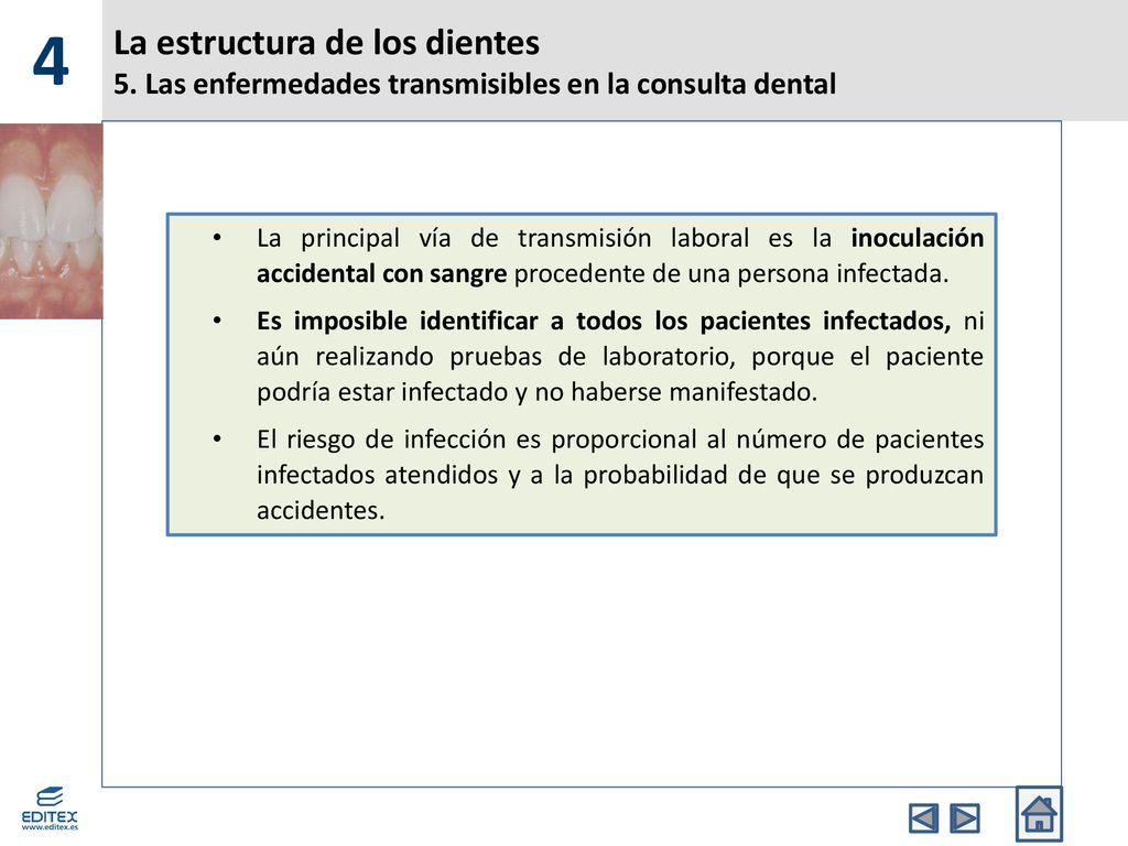 4 La estructura de los dientes 5. Las enfermedades transmisibles en la consulta dental.