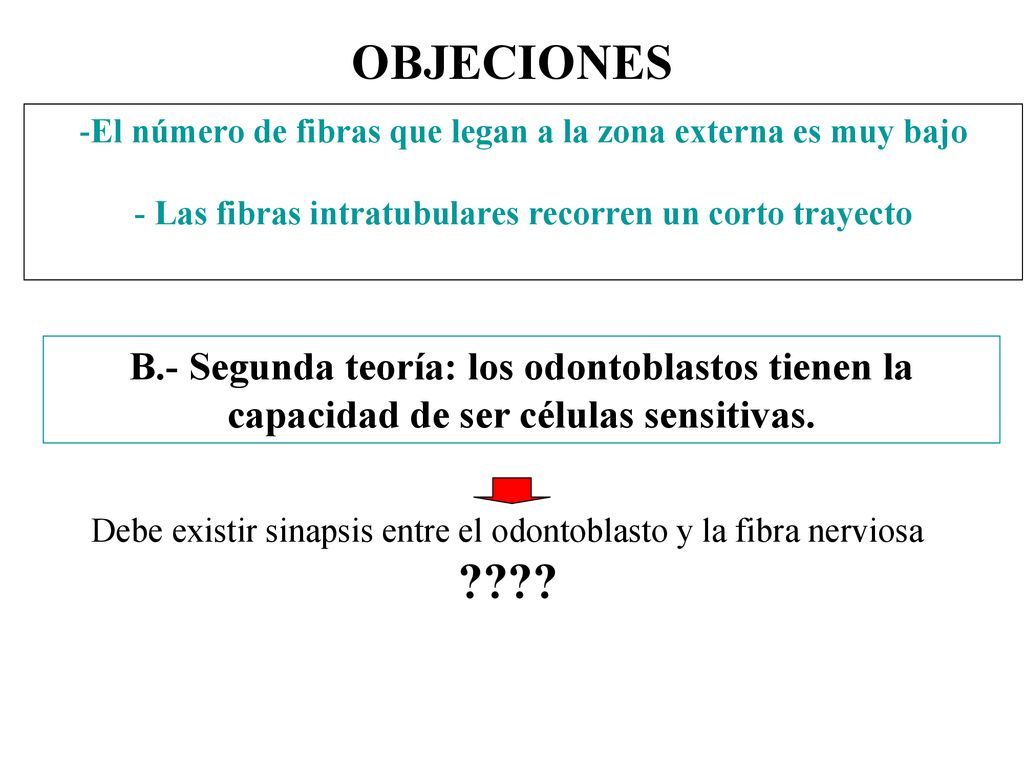 OBJECIONES El número de fibras que legan a la zona externa es muy bajo. - Las fibras intratubulares recorren un corto trayecto.