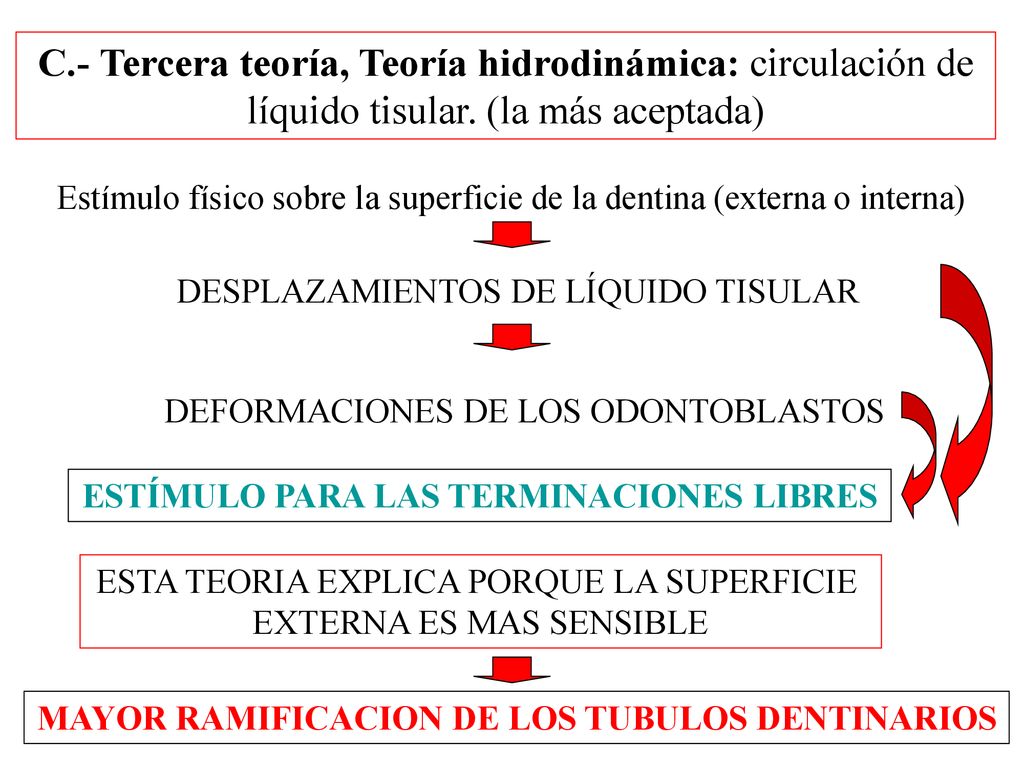 C.- Tercera teoría, Teoría hidrodinámica: circulación de líquido tisular. (la más aceptada)