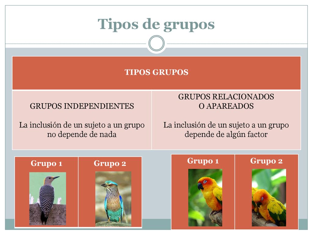 Tipos de grupos TIPOS GRUPOS GRUPOS INDEPENDIENTES