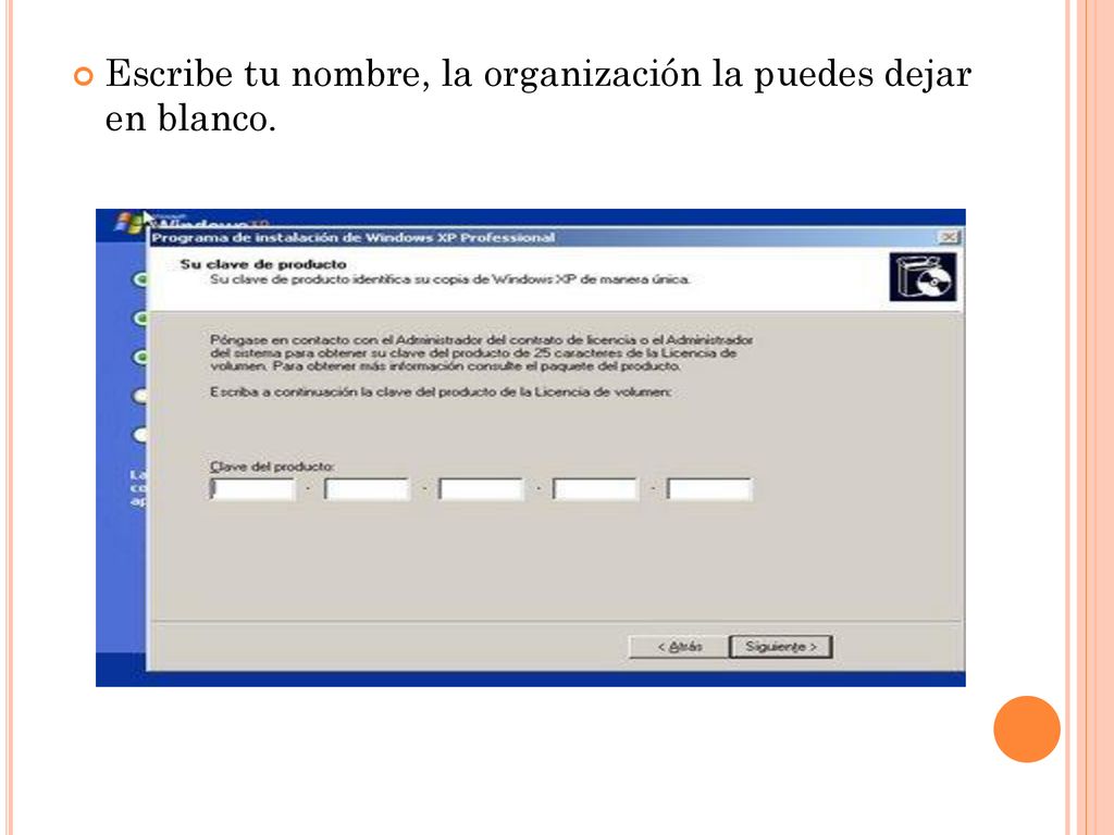 Escribe tu nombre, la organización la puedes dejar en blanco.