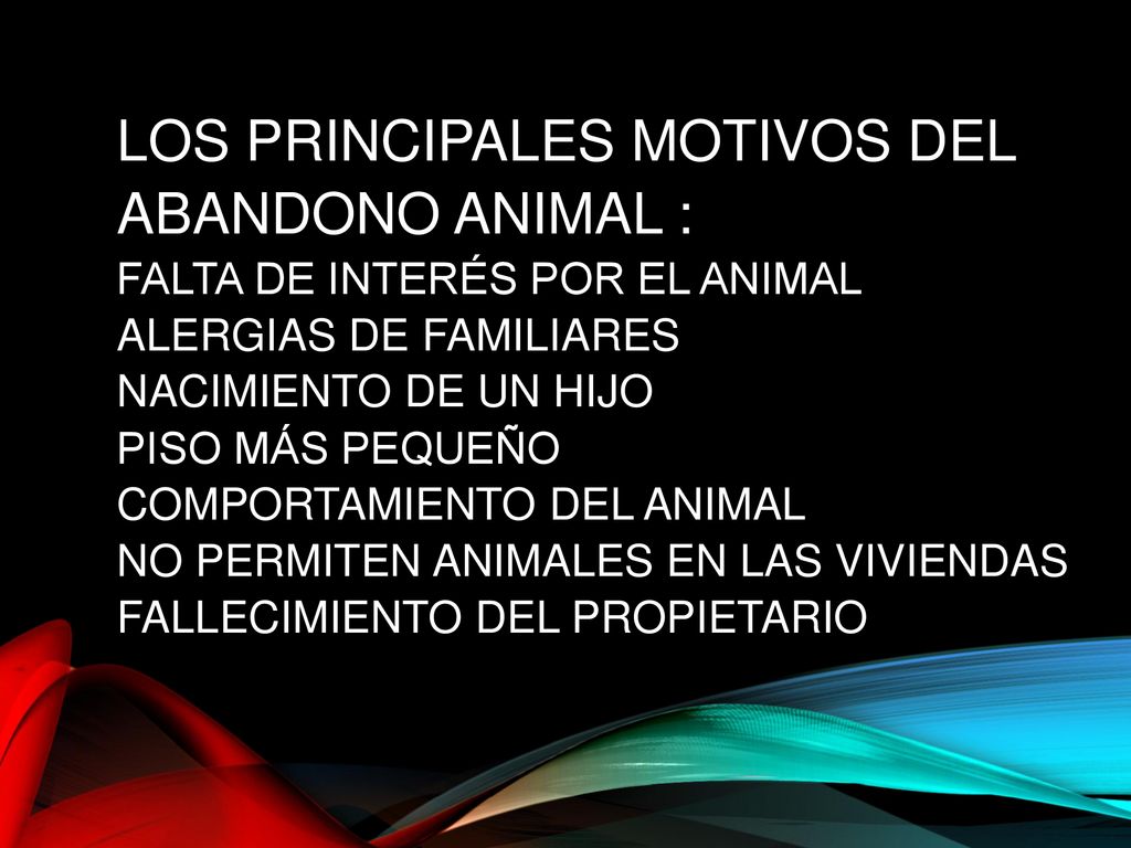 Los principales motivos del abandono animal : Falta de interés por el animal Alergias de familiares Nacimiento de un hijo Piso más pequeño Comportamiento del animal No permiten animales en las viviendas Fallecimiento del propietario