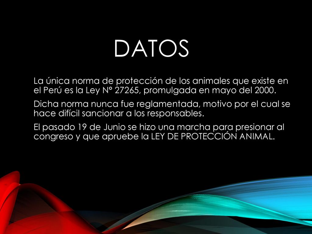 DATOS La única norma de protección de los animales que existe en el Perú es la Ley N° 27265, promulgada en mayo del