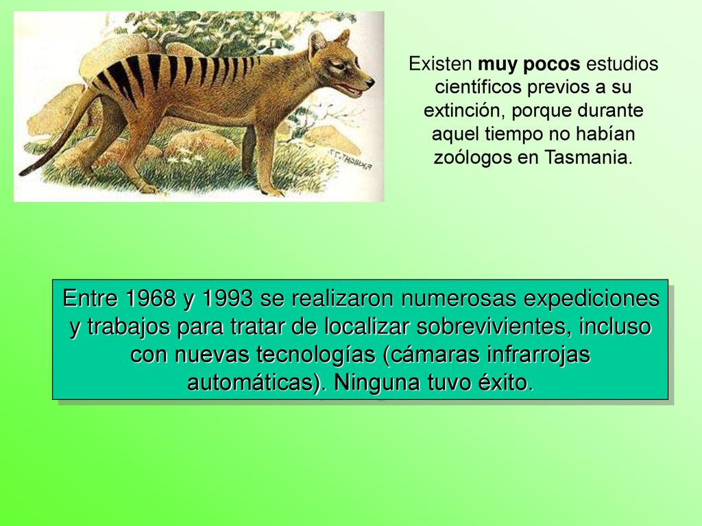 Entre 1968 y 1993 se realizaron numerosas expediciones y trabajos para tratar de localizar sobrevivientes, incluso con nuevas tecnologías (cámaras infrarrojas automáticas). Ninguna tuvo éxito.