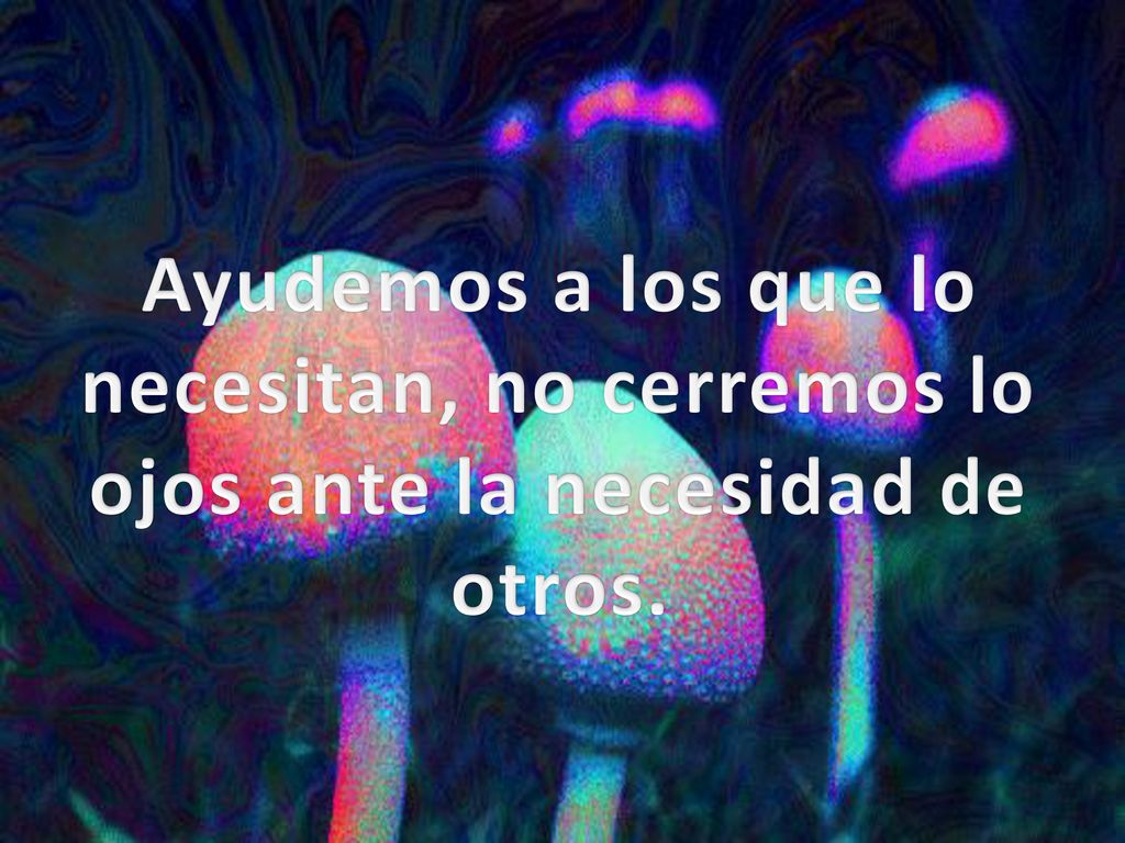 Ayudemos a los que lo necesitan, no cerremos lo ojos ante la necesidad de otros.