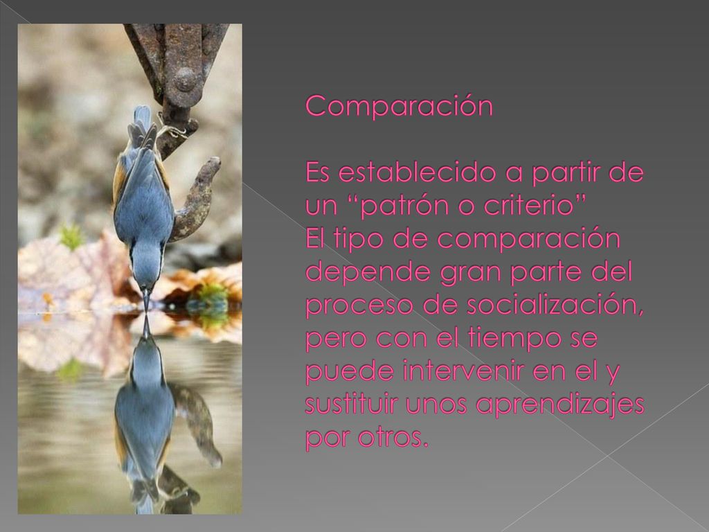 Comparación Es establecido a partir de un patrón o criterio El tipo de comparación depende gran parte del proceso de socialización, pero con el tiempo se puede intervenir en el y sustituir unos aprendizajes por otros.