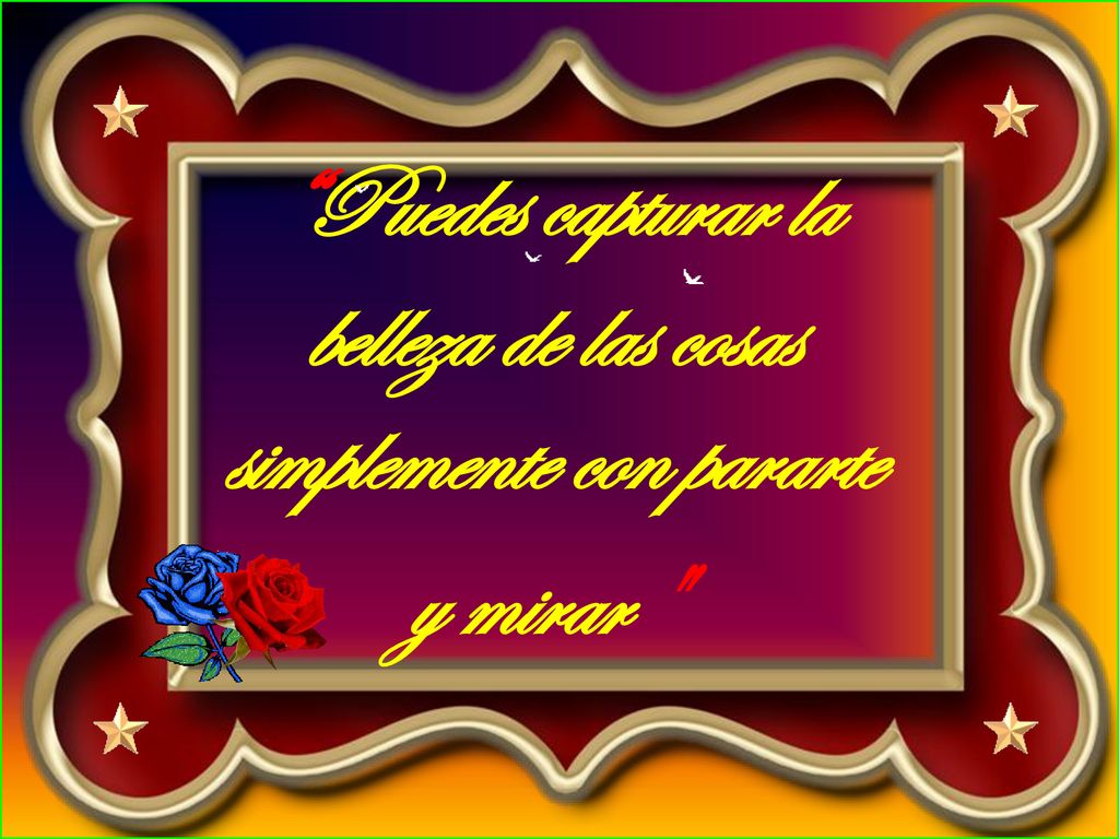 Puedes capturar la belleza de las cosas simplemente con pararte y mirar