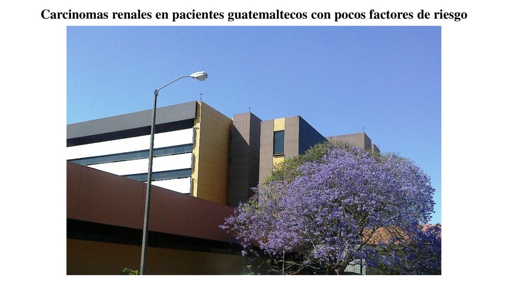 Carcinomas renales en pacientes guatemaltecos con pocos factores de riesgo