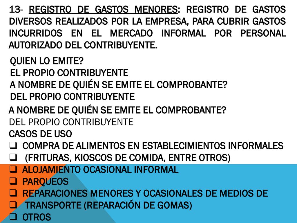 13- REGISTRO DE GASTOS MENORES: REGISTRO DE GASTOS DIVERSOS REALIZADOS POR LA EMPRESA, PARA CUBRIR GASTOS INCURRIDOS EN EL MERCADO INFORMAL POR PERSONAL AUTORIZADO DEL CONTRIBUYENTE.