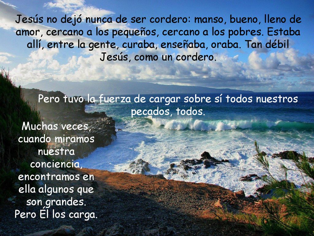 Pero tuvo la fuerza de cargar sobre sí todos nuestros pecados, todos.