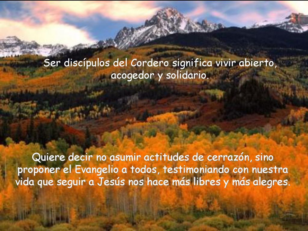 Ser discípulos del Cordero significa vivir abierto, acogedor y solidario.