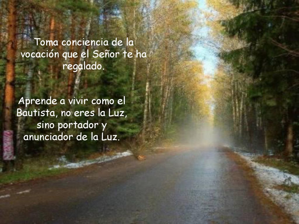 Toma conciencia de la vocación que el Señor te ha regalado.
