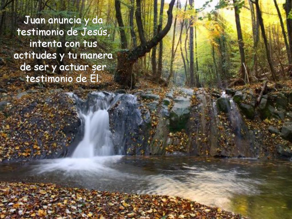 Juan anuncia y da testimonio de Jesús, intenta con tus actitudes y tu manera de ser y actuar ser testimonio de Él.