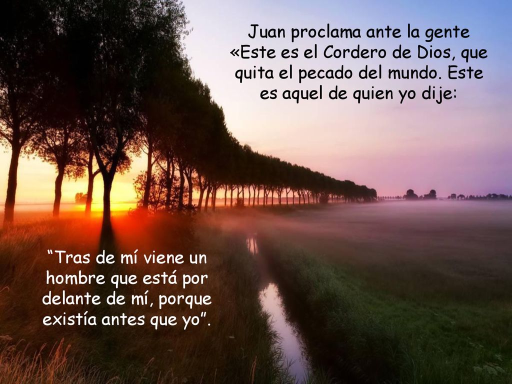 Juan proclama ante la gente «Este es el Cordero de Dios, que quita el pecado del mundo. Este es aquel de quien yo dije:
