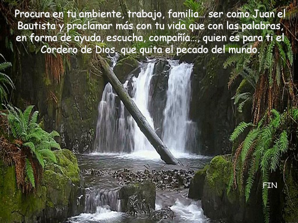Procura en tu ambiente, trabajo, familia… ser como Juan el Bautista y proclamar más con tu vida que con las palabras, en forma de ayuda, escucha, compañía…, quien es para ti el Cordero de Dios, que quita el pecado del mundo.