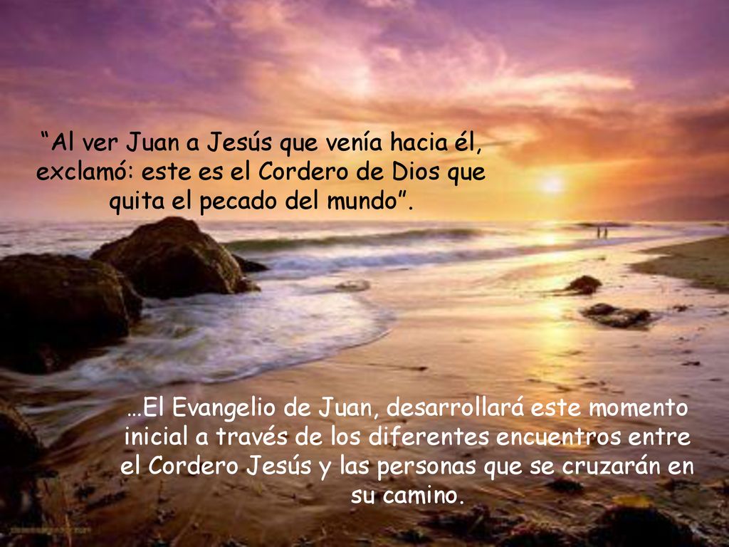 Al ver Juan a Jesús que venía hacia él, exclamó: este es el Cordero de Dios que quita el pecado del mundo .