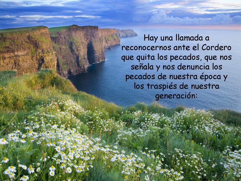 Hay una llamada a reconocernos ante el Cordero que quita los pecados, que nos señala y nos denuncia los pecados de nuestra época y los traspiés de nuestra generación: