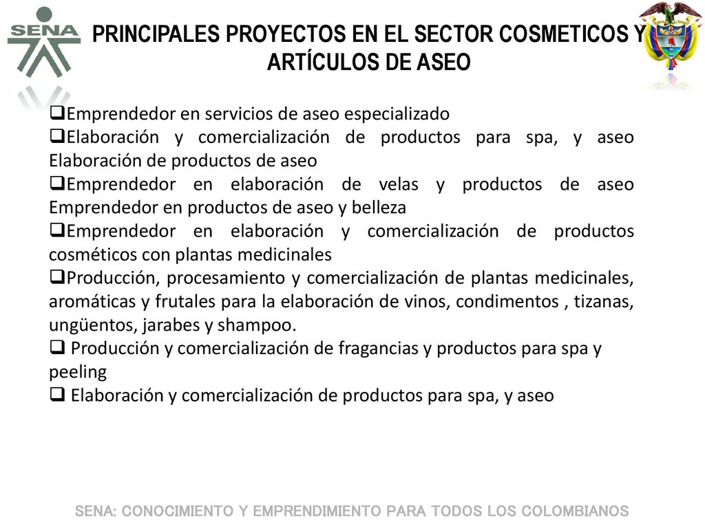 PRINCIPALES PROYECTOS EN EL SECTOR COSMETICOS Y ARTÍCULOS DE ASEO