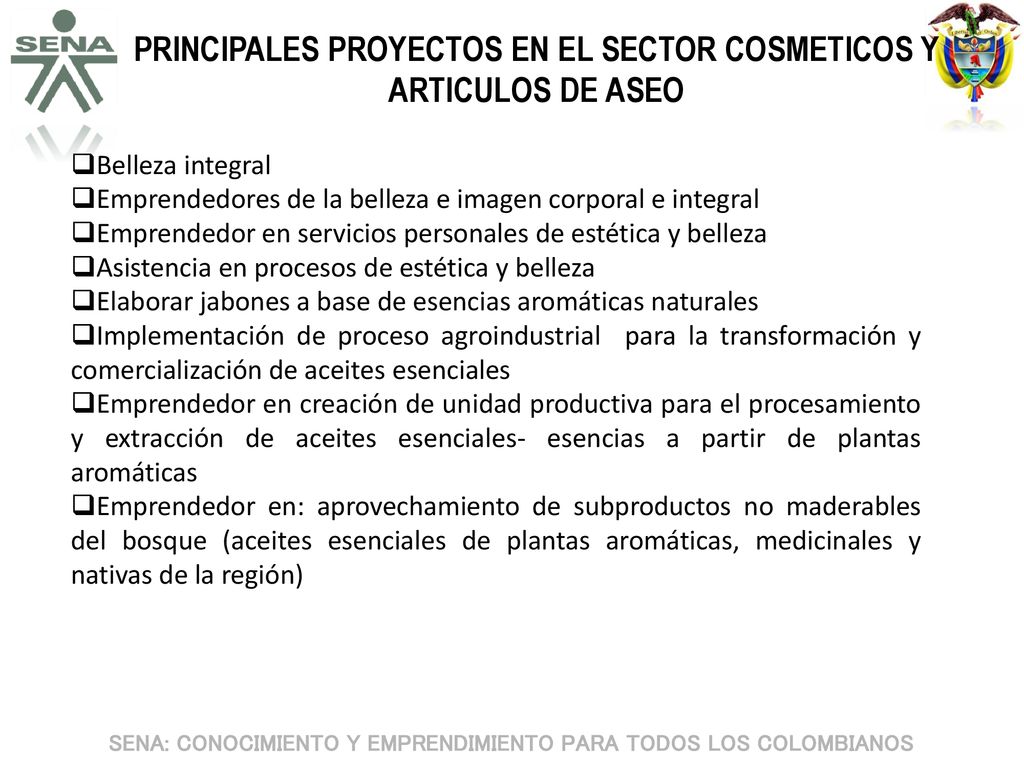 PRINCIPALES PROYECTOS EN EL SECTOR COSMETICOS Y ARTICULOS DE ASEO