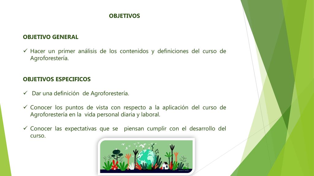 OBJETIVOS OBJETIVO GENERAL. Hacer un primer análisis de los contenidos y definiciones del curso de Agroforestería.