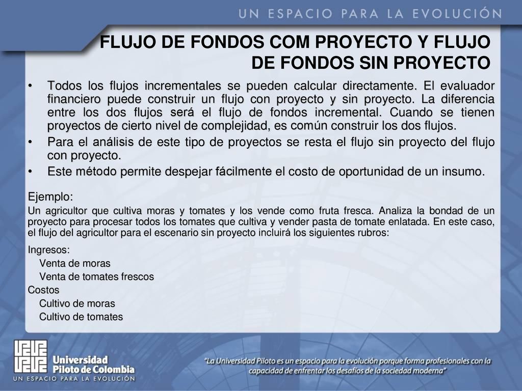 FLUJO DE FONDOS COM PROYECTO Y FLUJO DE FONDOS SIN PROYECTO