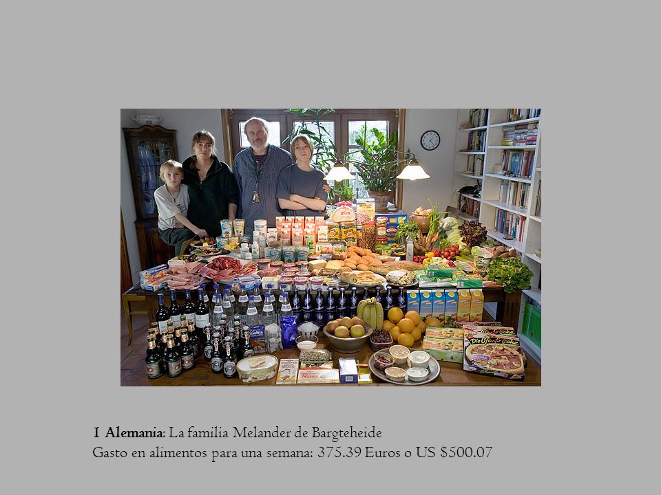 1 Alemania: La familia Melander de Bargteheide Gasto en alimentos para una semana: Euros o US $500.07