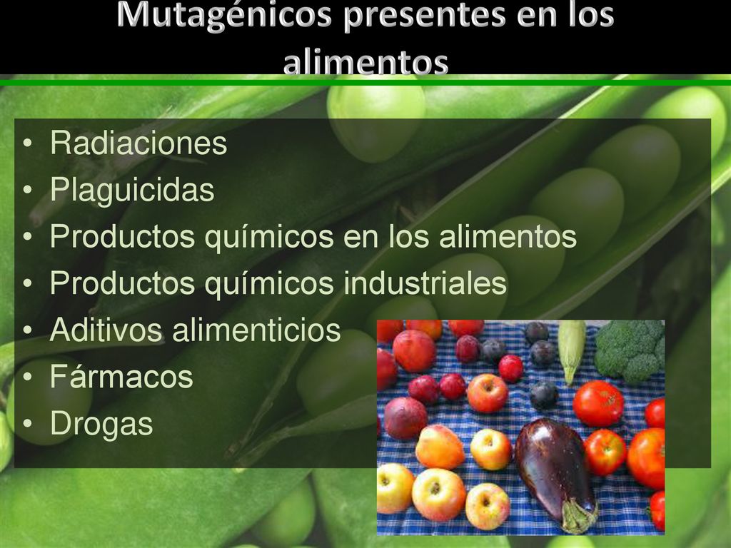 Mutagénicos presentes en los alimentos
