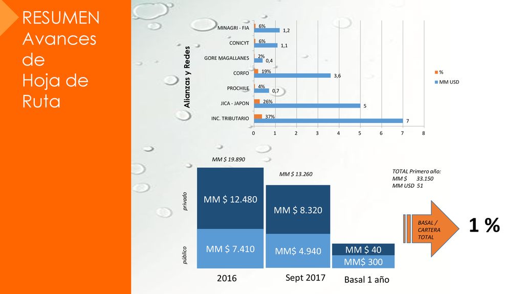 1 % RESUMEN Avances de Hoja de Ruta MM $ MM $ MM $ 7.410
