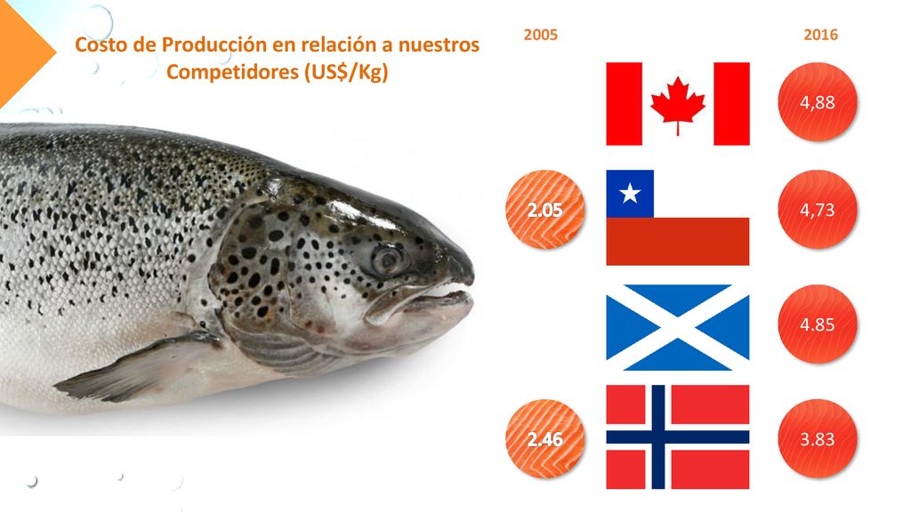 Costo de Producción en relación a nuestros Competidores (US$/Kg)