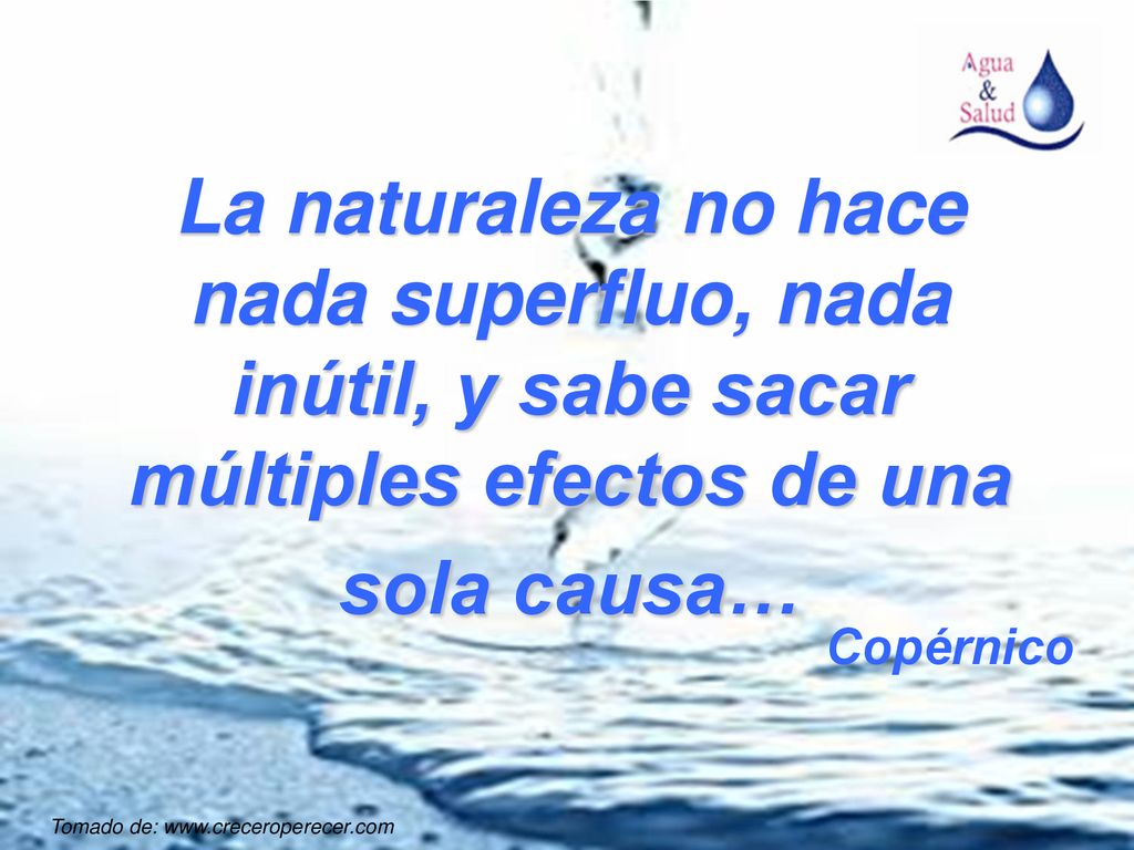La naturaleza no hace nada superfluo, nada inútil, y sabe sacar múltiples efectos de una sola causa…
