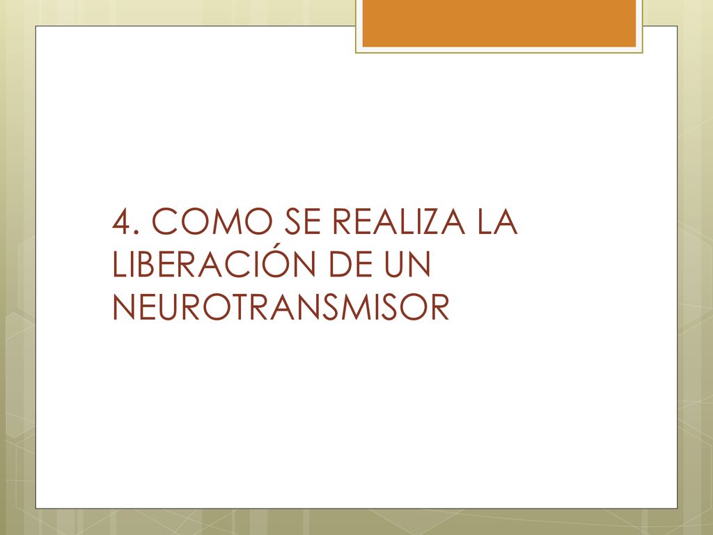 4. Como se realiza la liberación de un neurotransmisor