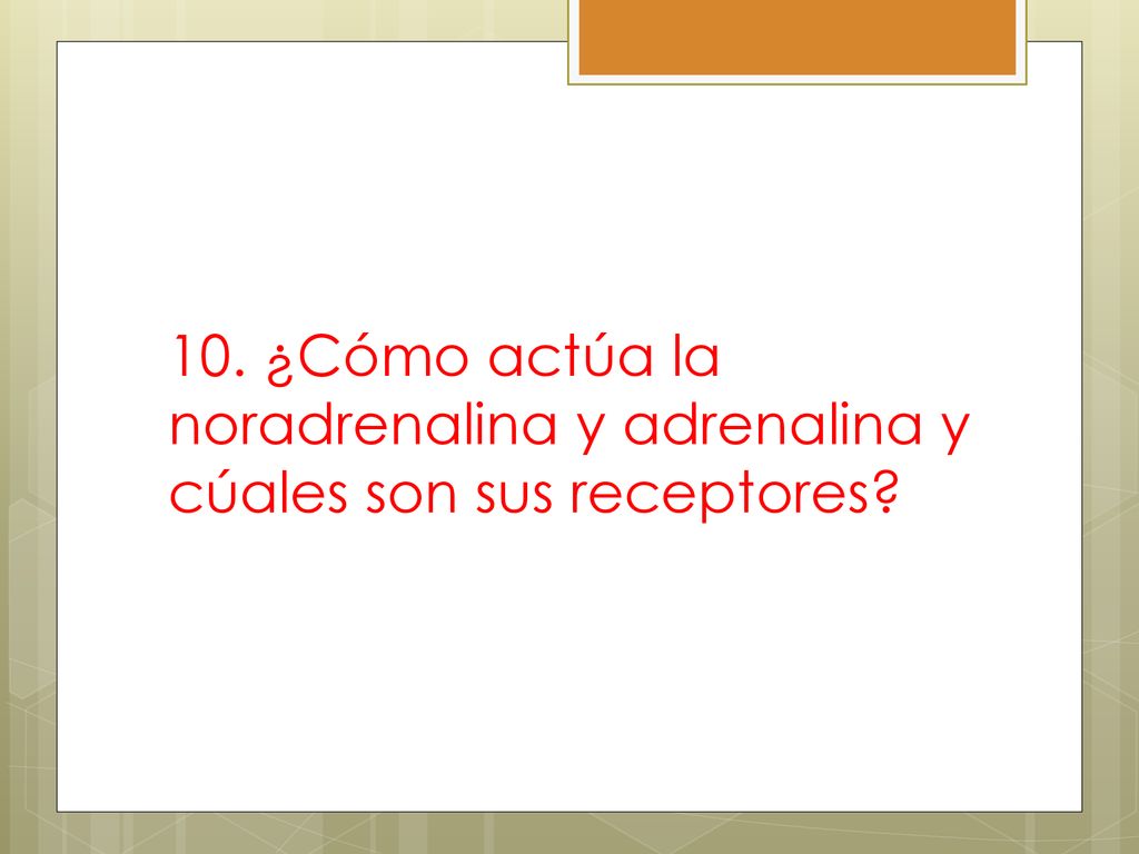 10. ¿Cómo actúa la noradrenalina y adrenalina y cúales son sus receptores