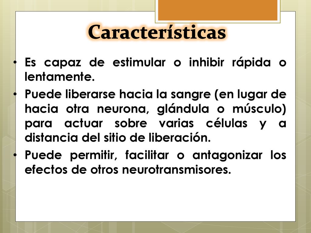 Características Es capaz de estimular o inhibir rápida o lentamente.